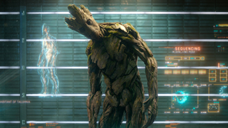 Es oficial: el Groot de la primera <i>Guardians of the Galaxy</i> está muerto